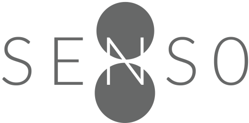 Senso8 Logo